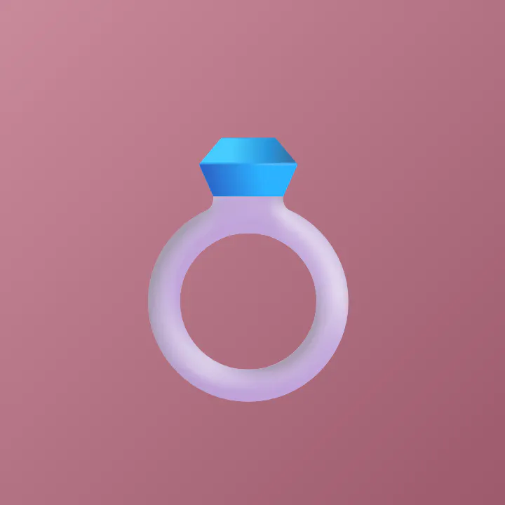 The Wedding Planner Vault