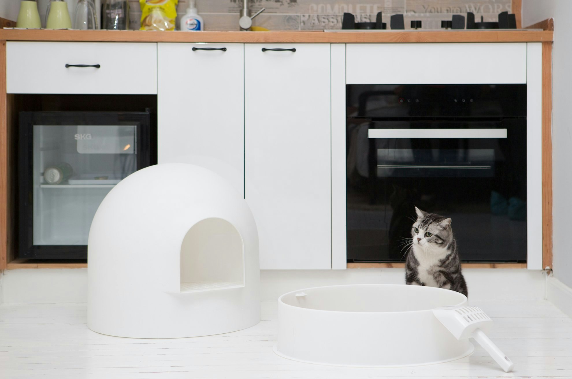 Want an invisible litter box? - try this! pidan igloo litter box gallery image