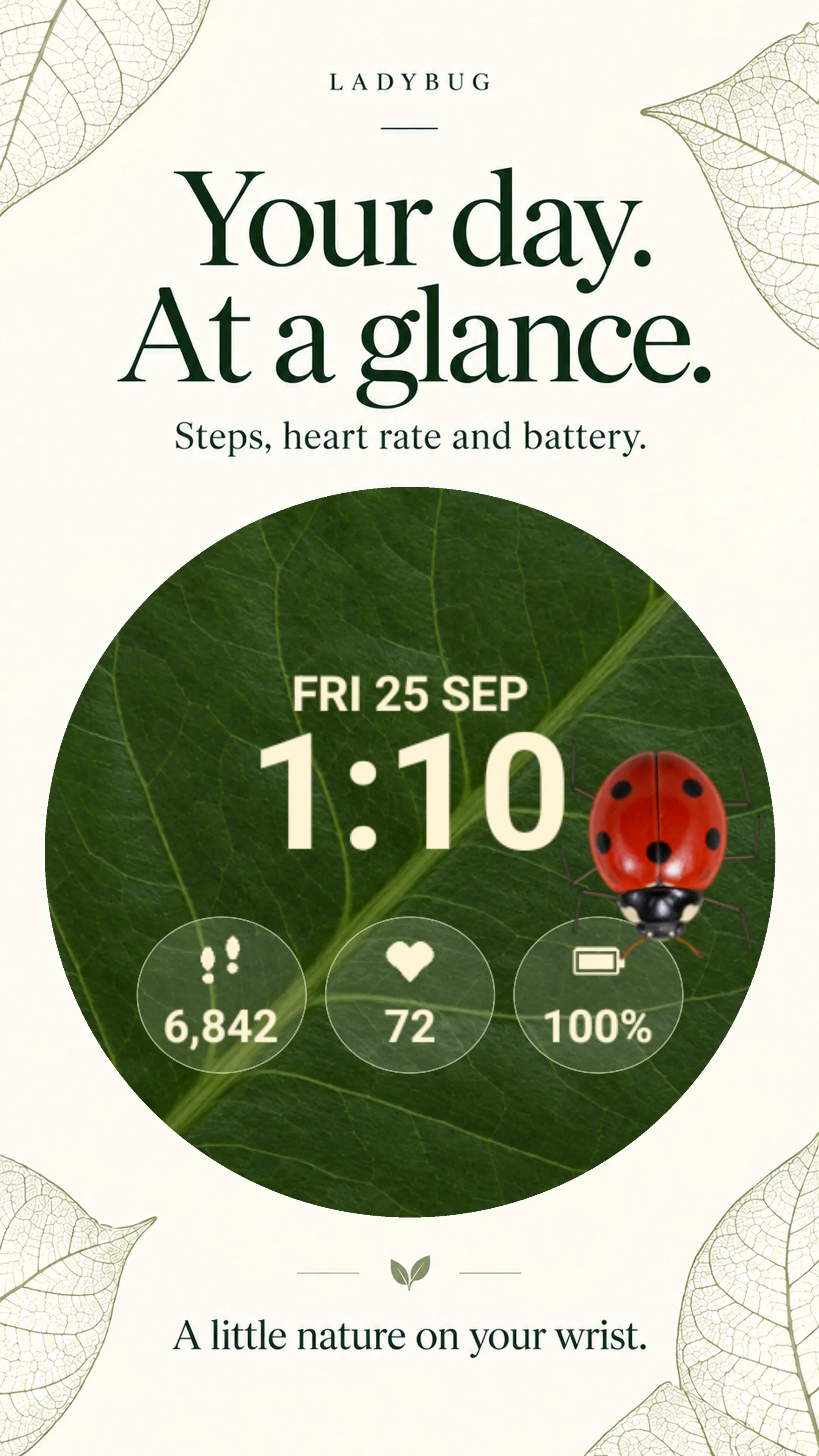 Ladybug Animated Wear OS Watch Face gallery image