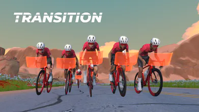 Transition gallery image