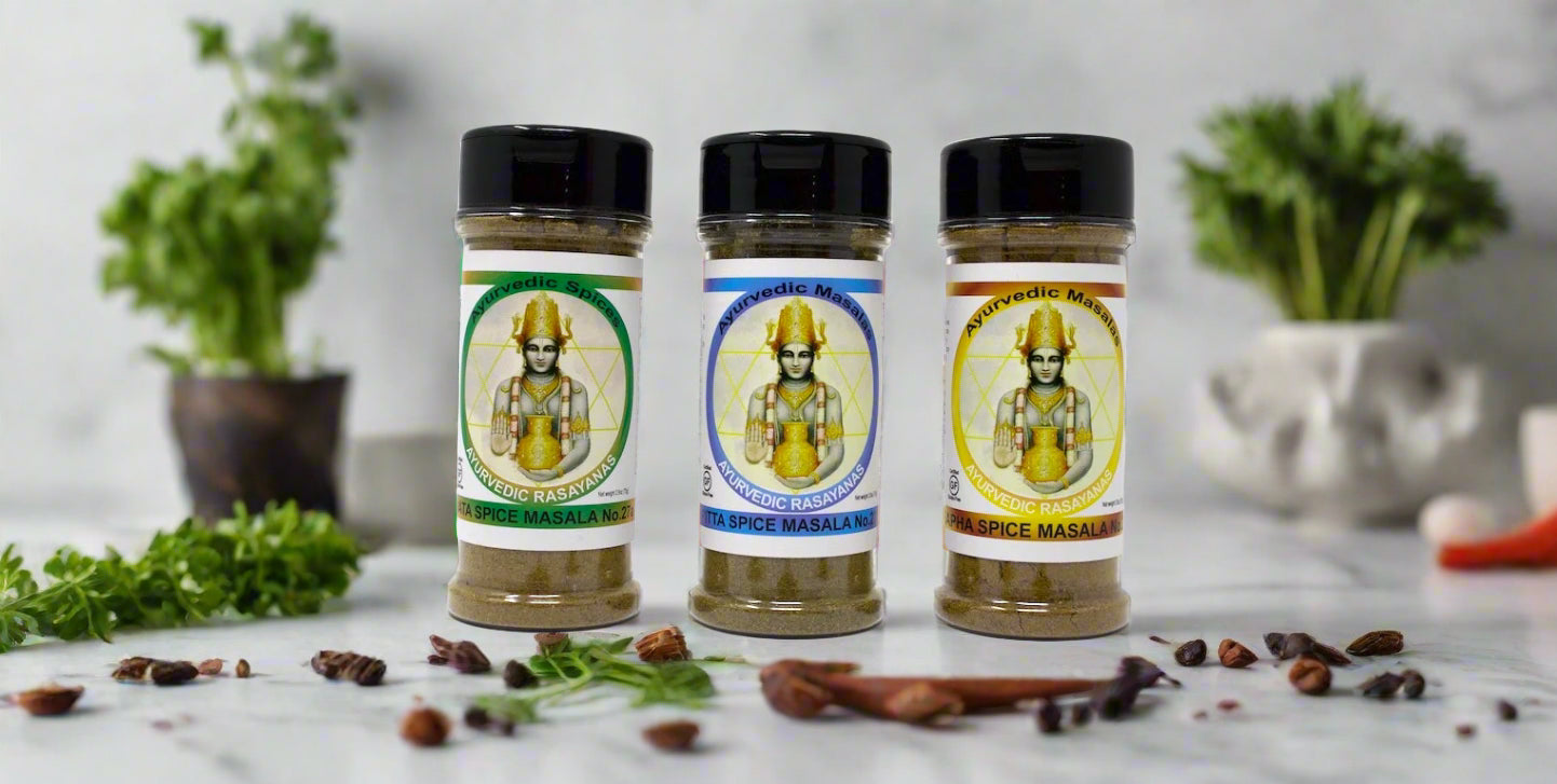 Ayurvedic Rasayanas - Main product screenshot demonstrating key features and user interface