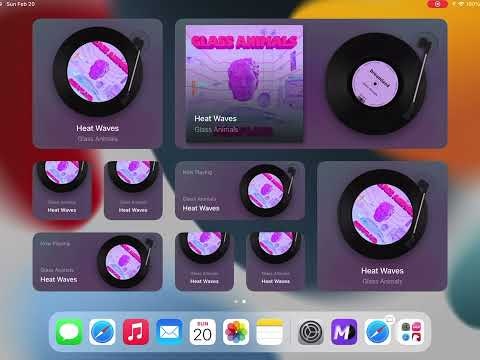 MD Vinyl gallery image