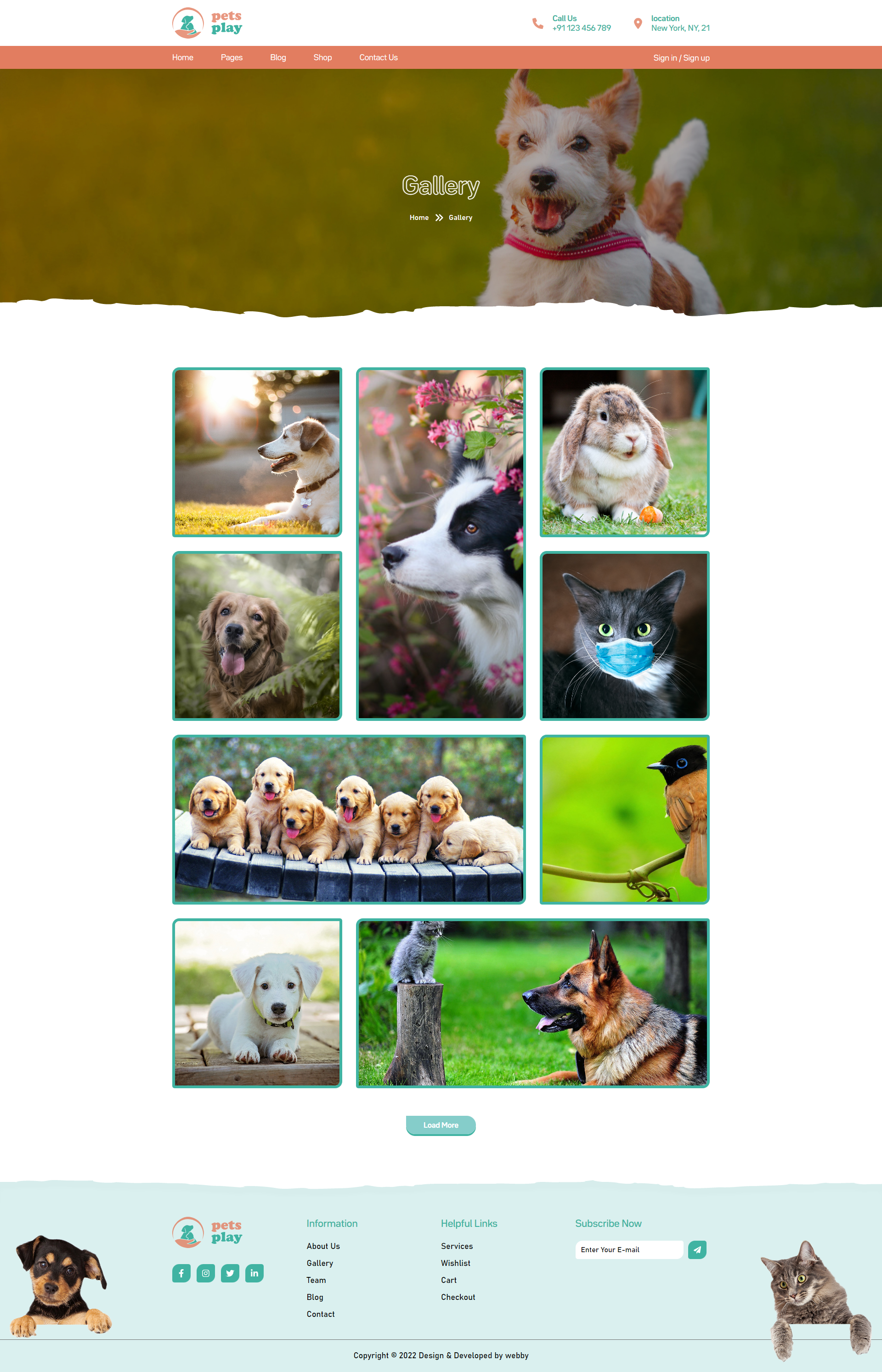 Pet Shop Website Template gallery image