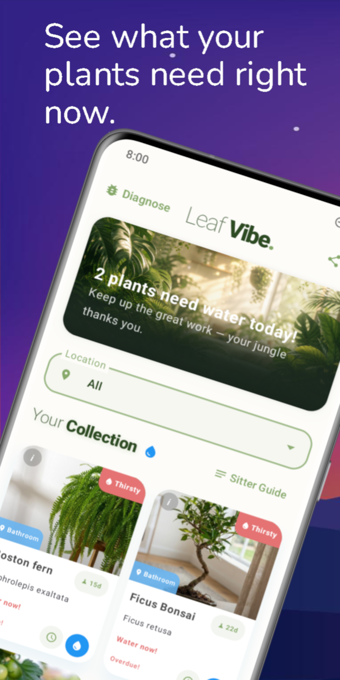 Leaf Vibe gallery image