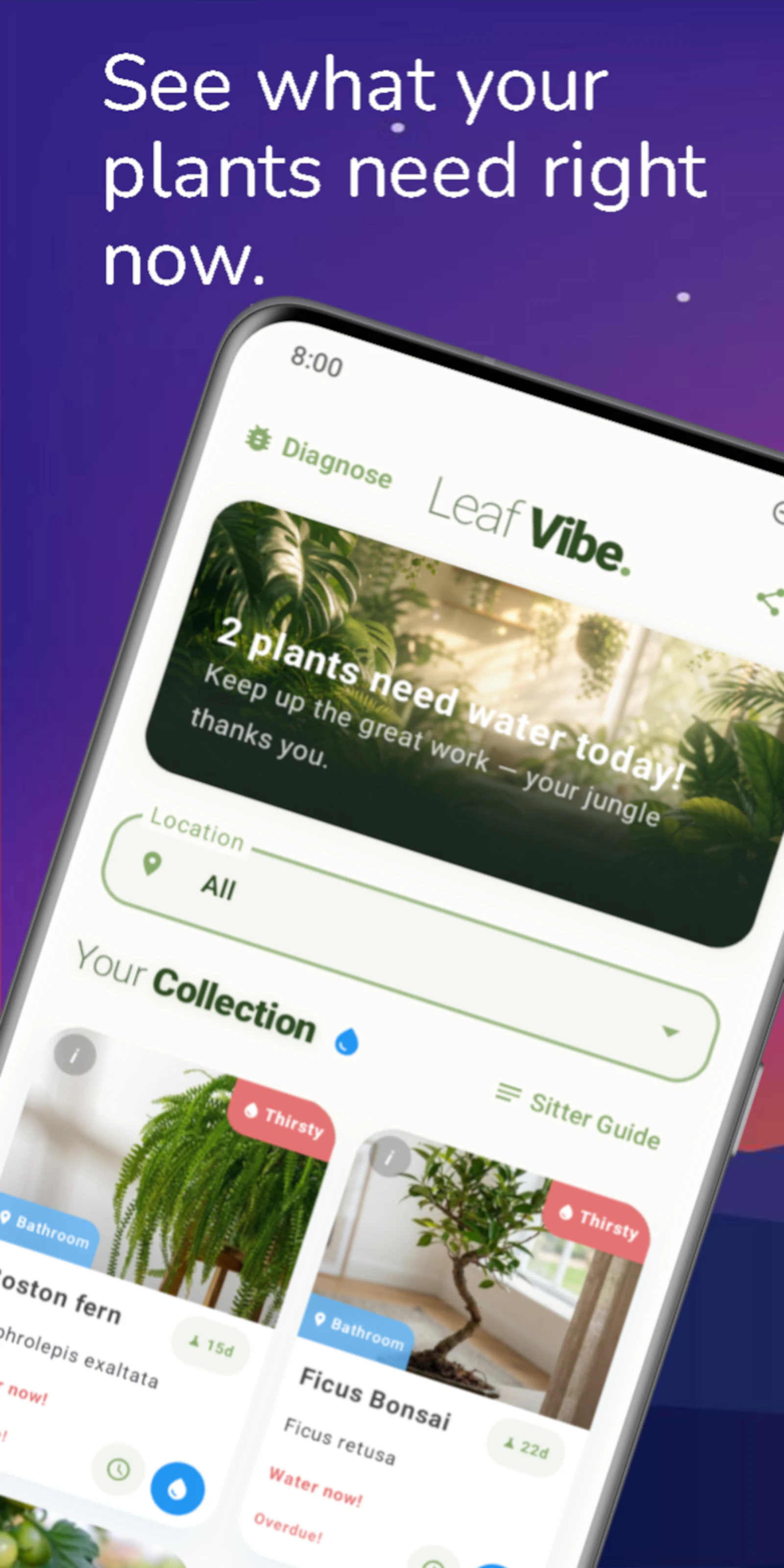 Leaf Vibe screenshot 1