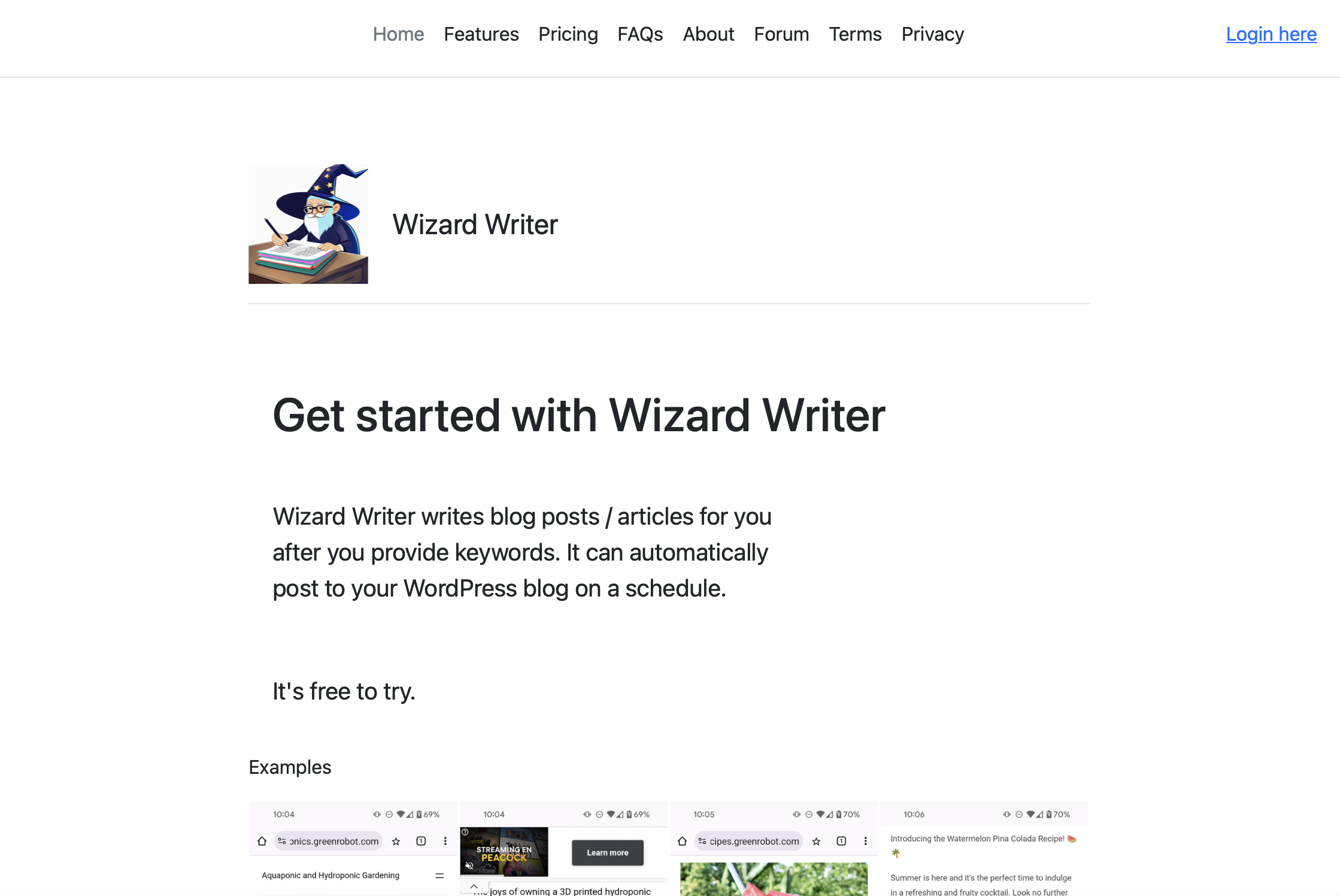 Zauberer Schriftsteller - Der Wizard Writer schreibt Blog -Beiträge / Artikel für Sie. Medien 2