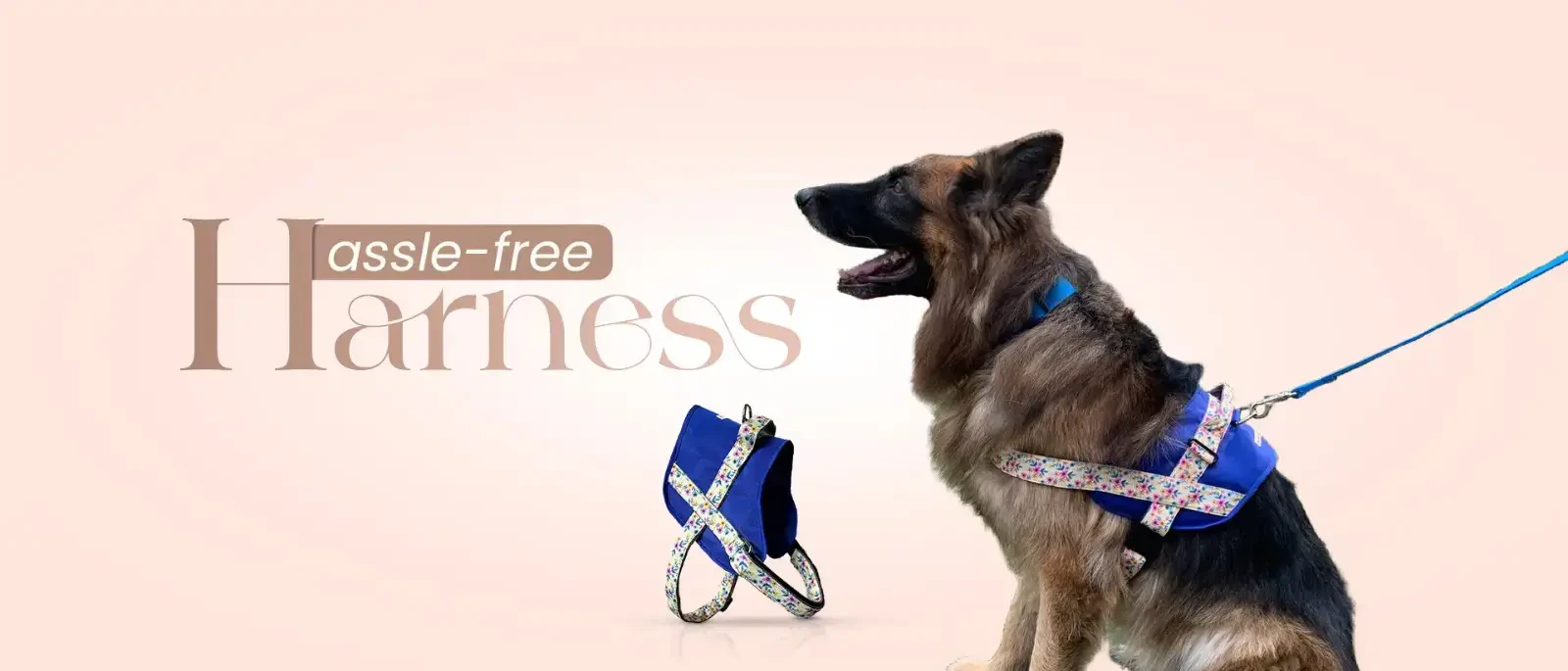 Best Dog Accessories available in India screenshot 1