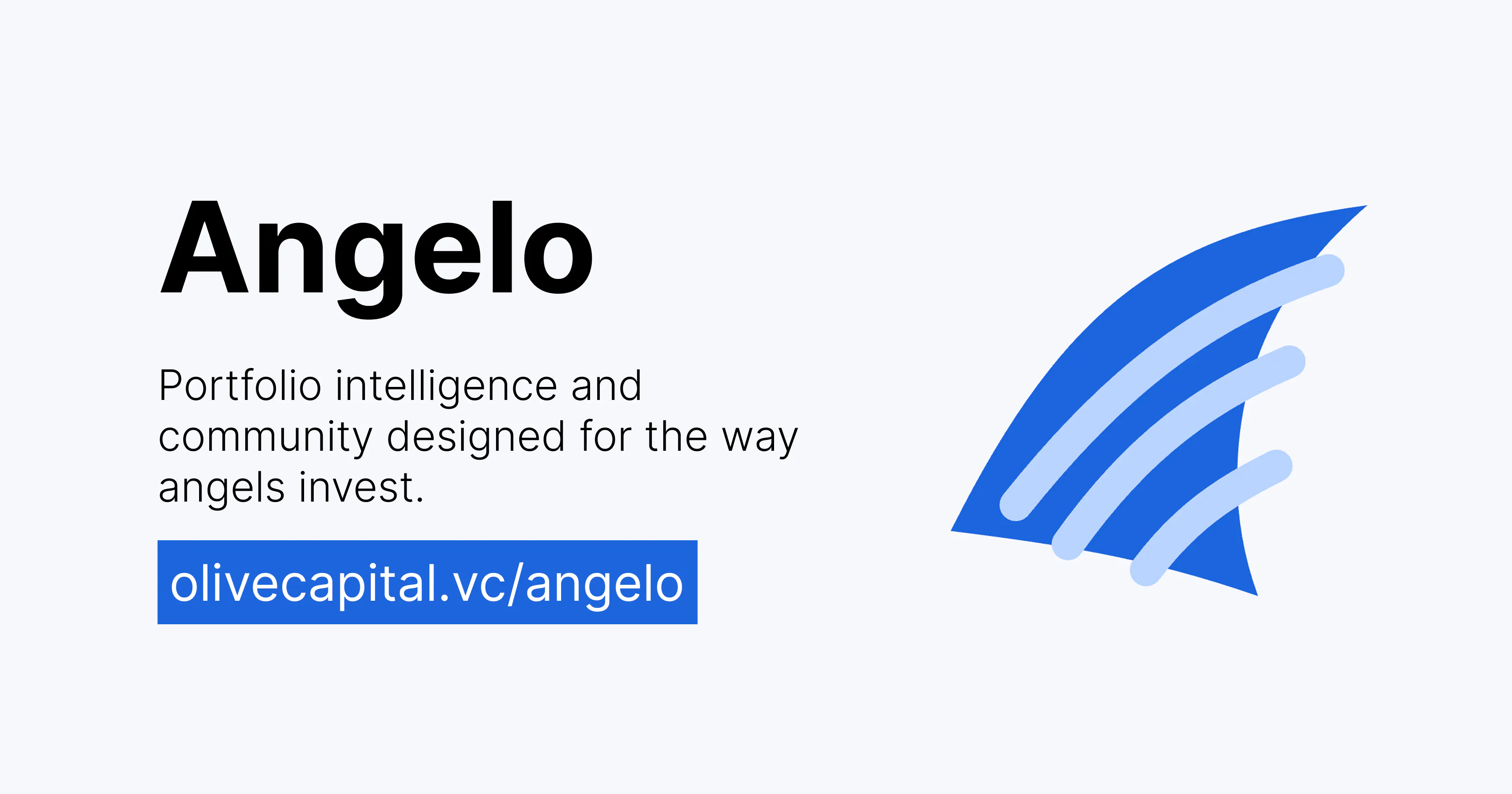 Angelo gallery image