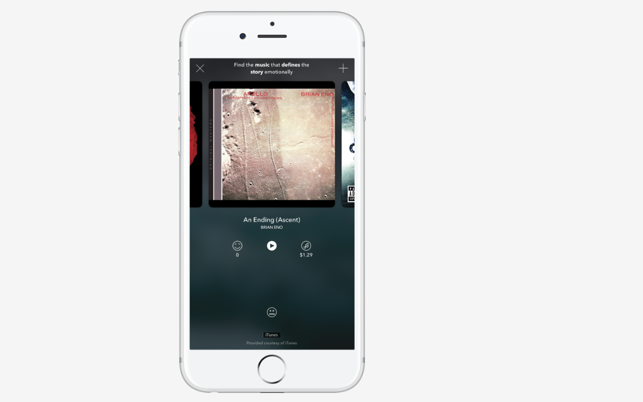 Miss D gallery image