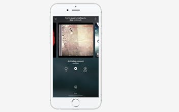 Miss D gallery image