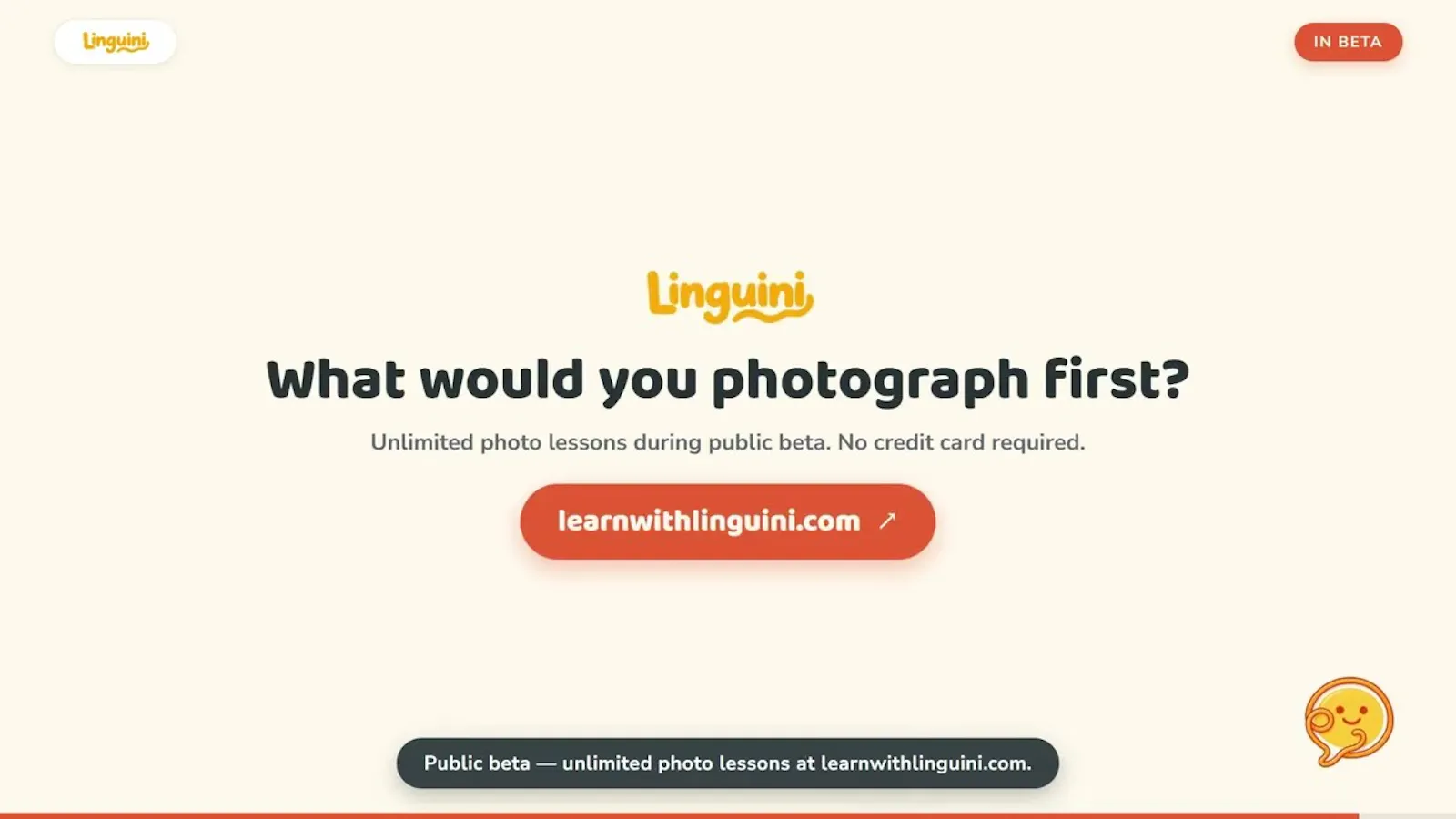 Linguini screenshot 1 (video preview)