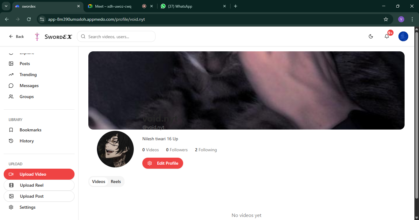 swordex - Main product screenshot demonstrating key features and user interface