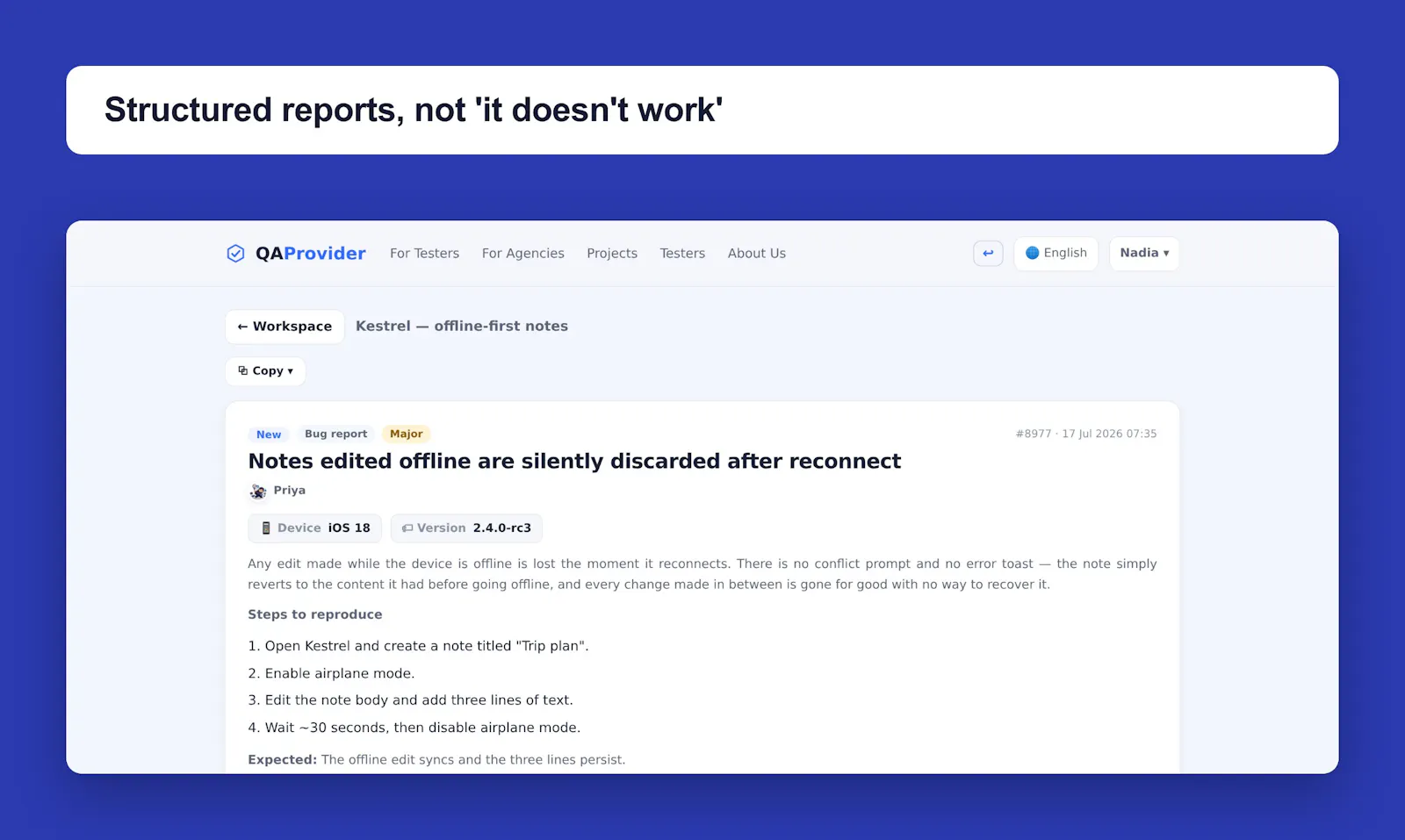 QAProvider screenshot 2