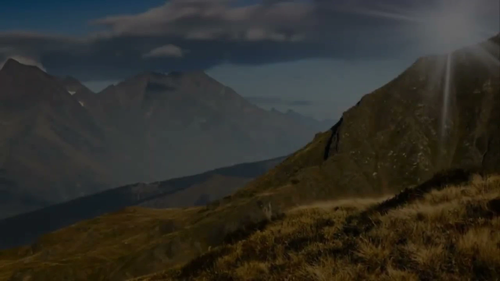 Librida screenshot 1 (video preview)
