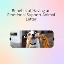 Benefits of Having an ESA Letter gallery image