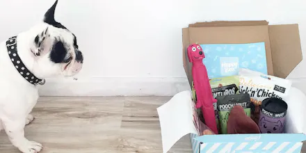 HappyBox by Holidog gallery image