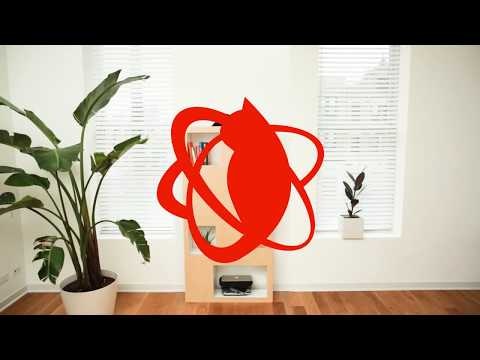 Cat Case on Kickstarter gallery image