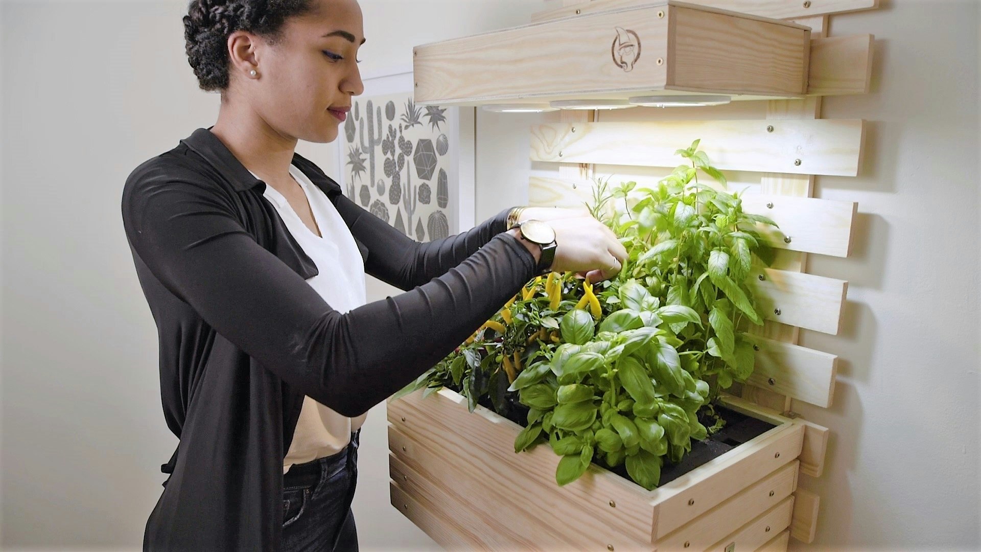 Gartenzwerg Pretty Smart Gardens gallery image