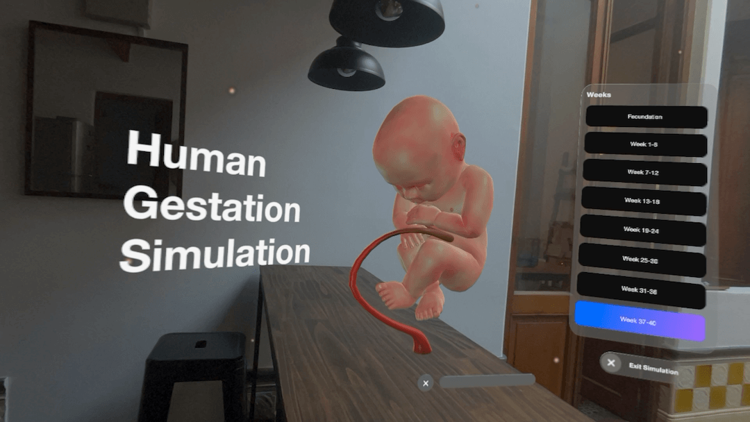 içkisiz kimse - Karışık gerçeklik mekansal kök simülasyonları medya 4