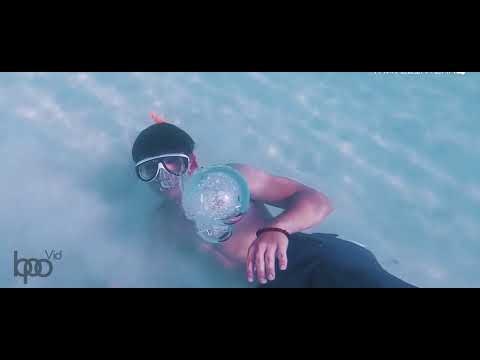 Hopovid gallery image