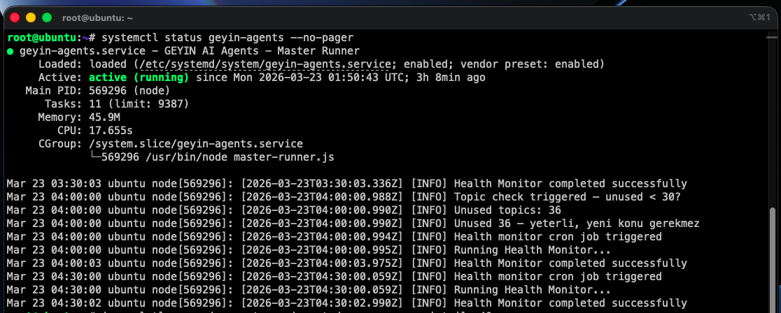 Geyin.az gallery image