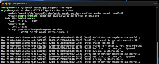 Geyin.az gallery image