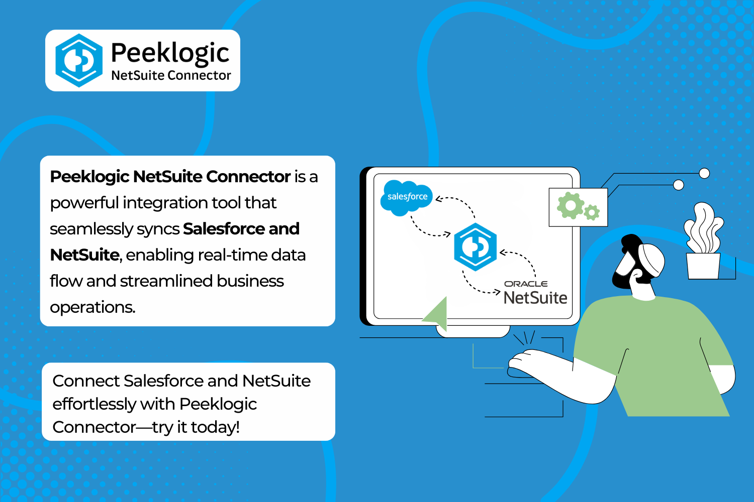 Peeklogic Salesforce NetSuite Connector gallery image