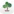 Bonsai — Care & Growth Journal