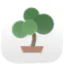 Bonsai — Care & Growth Journal