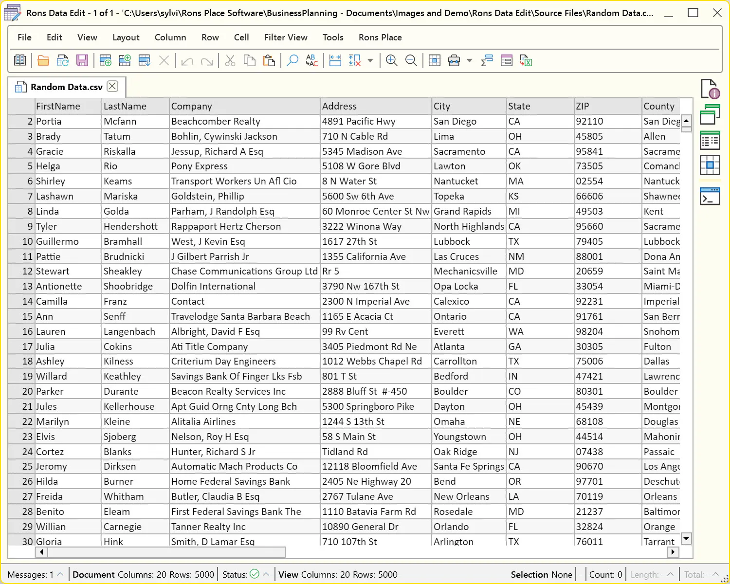 Rons Data Edit gallery image