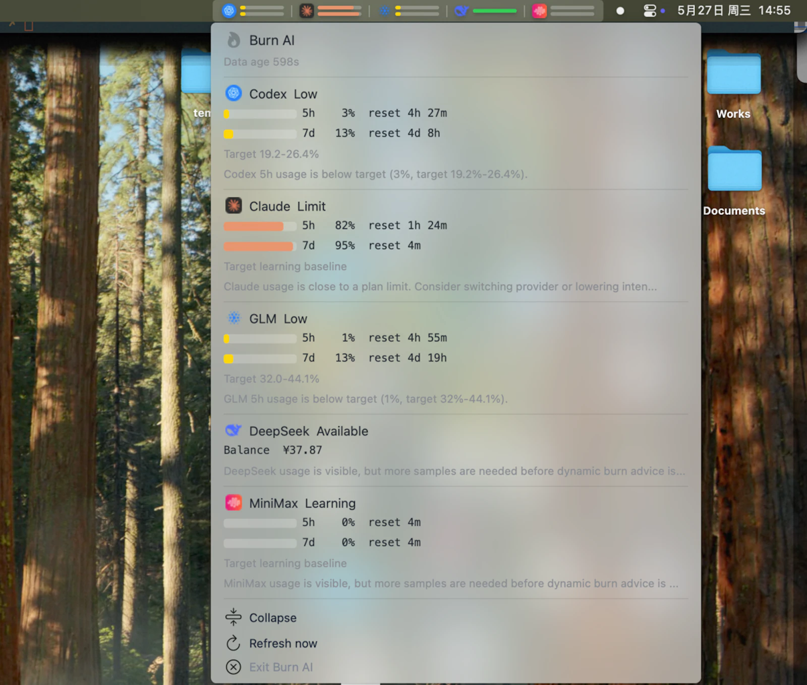 Burn AI screenshot 2