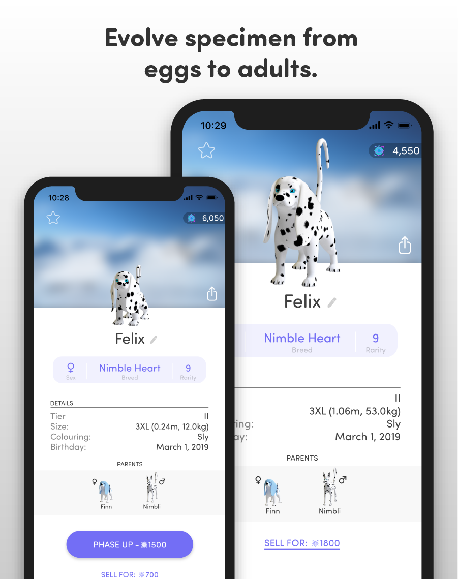 Lightdogs gallery image