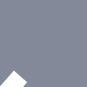 State of Software Development 2020