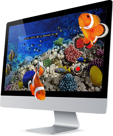 liteCam gallery image