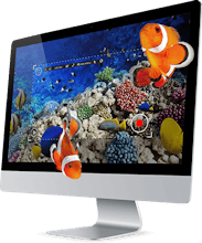 liteCam gallery image