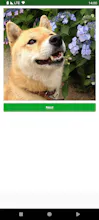 Dogs Images gallery image