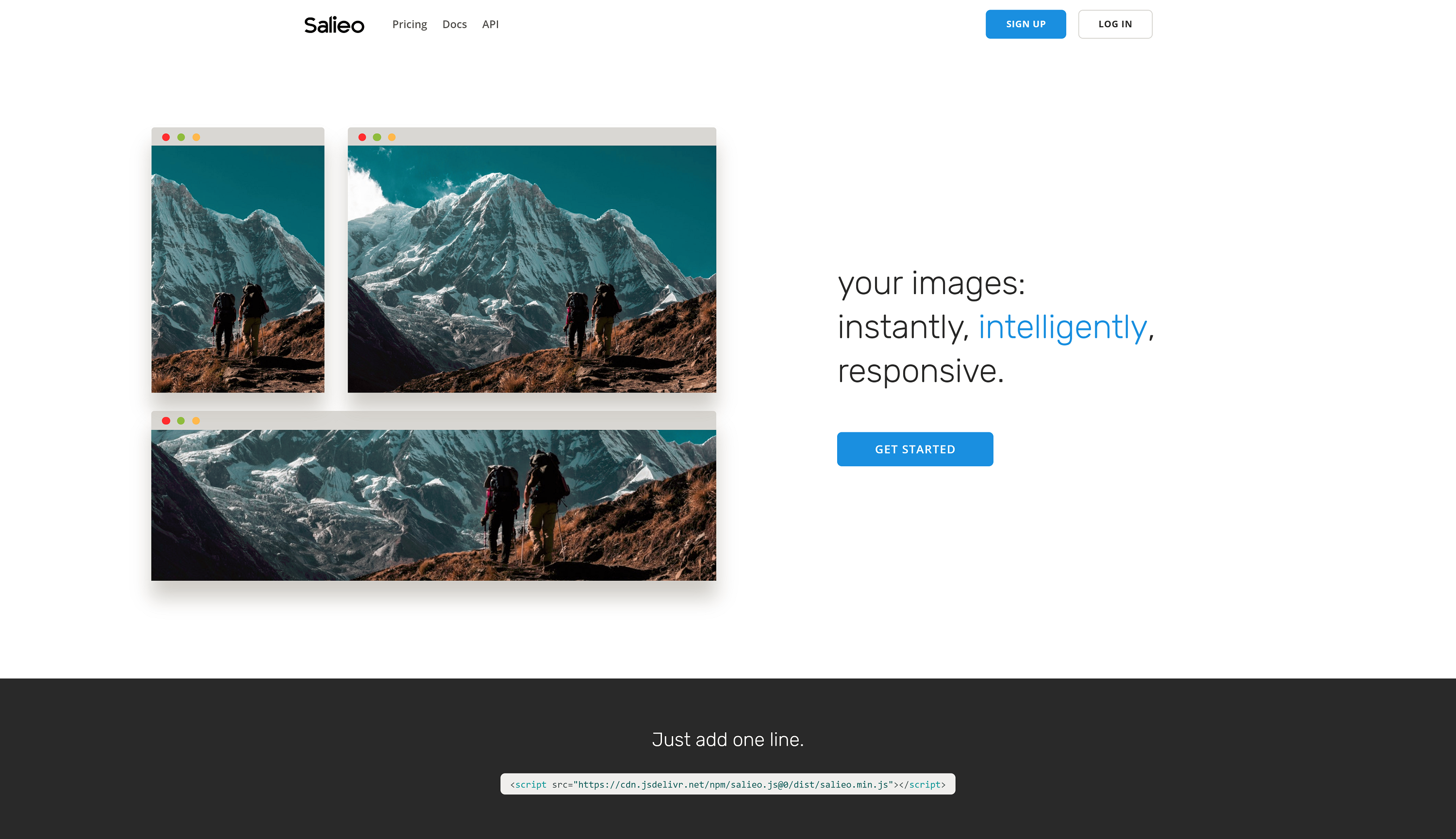 Salieo gallery image