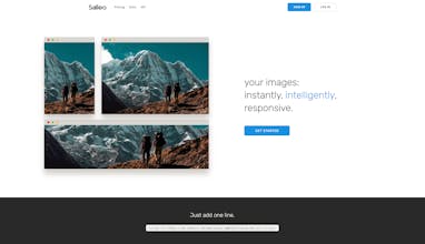 Salieo gallery image