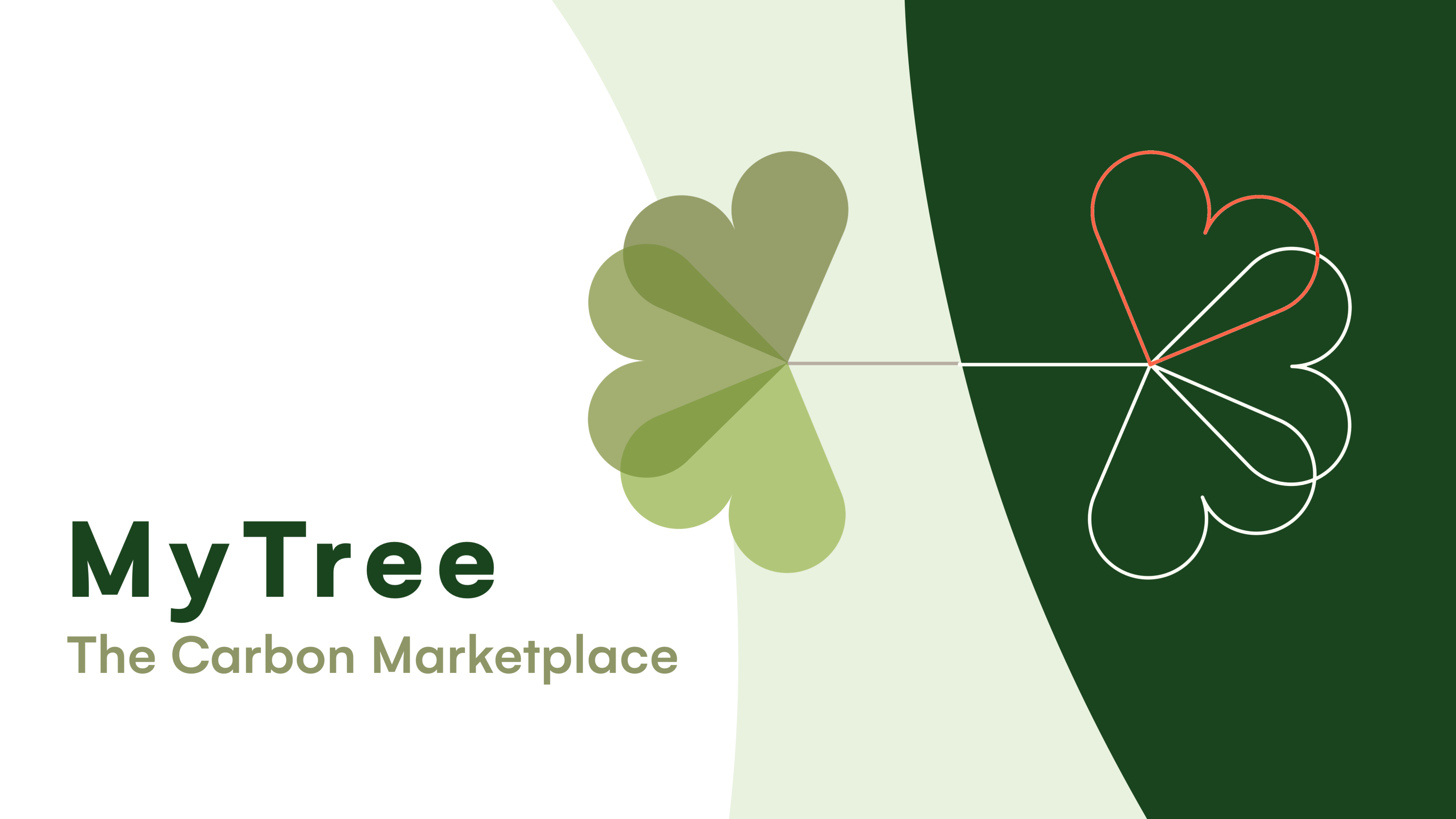 MyTree gallery image