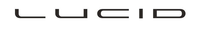 Lucid - Fully Electric Sedan