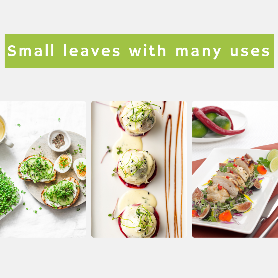 Ecofrindly, fresh, and tasty superfood  gallery image