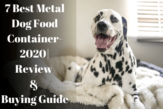 best metal dog food container