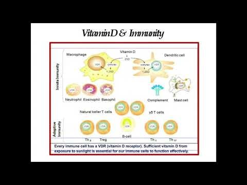 NANO SOMA NUTRITIONAL LIQUID SUPPLEMENT gallery image