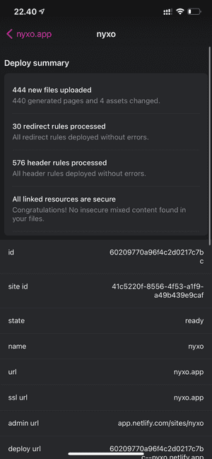 Netli.fyi gallery image