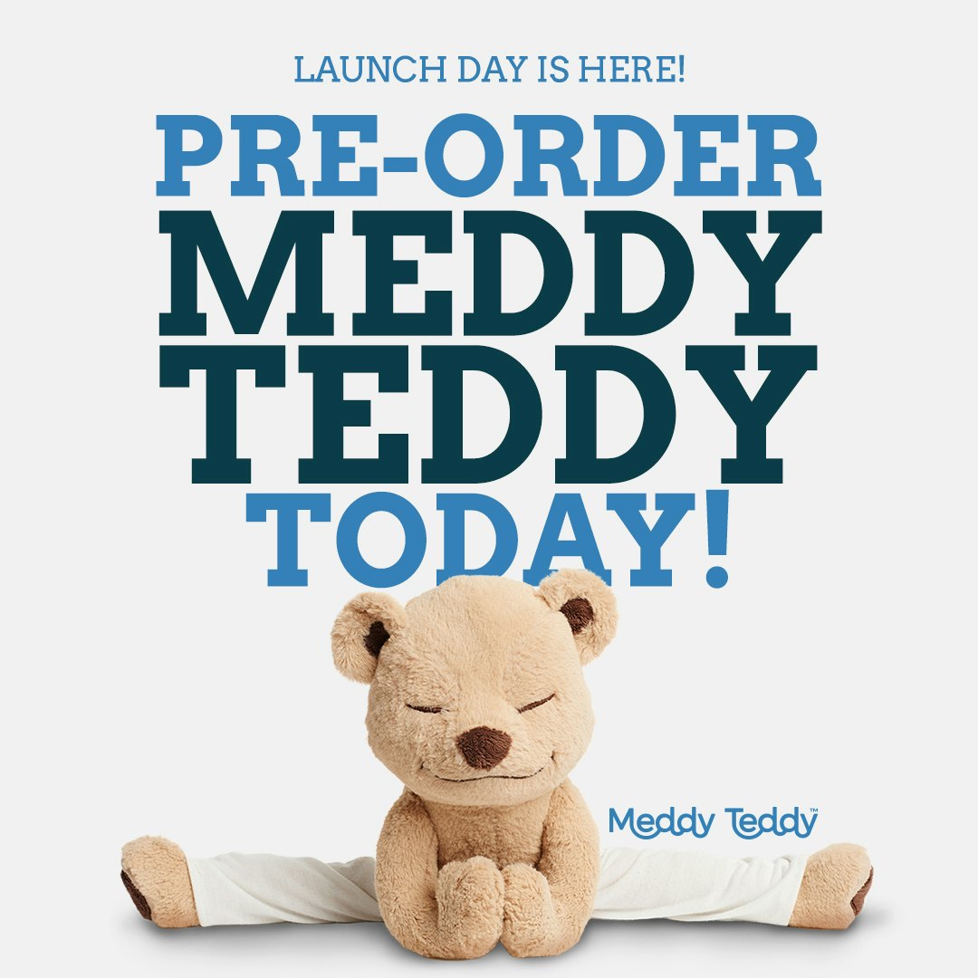 Meddy Teddy  gallery image