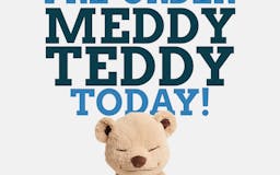 Meddy Teddy  media 3