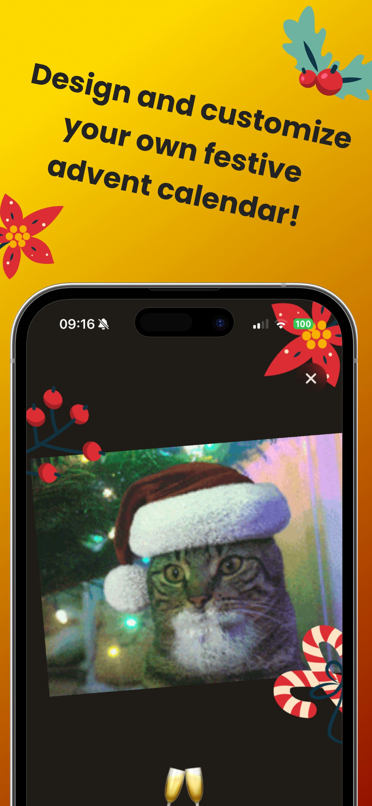 Purrfect Advent Calender Medien 2