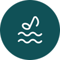 Pomodoro Web Application