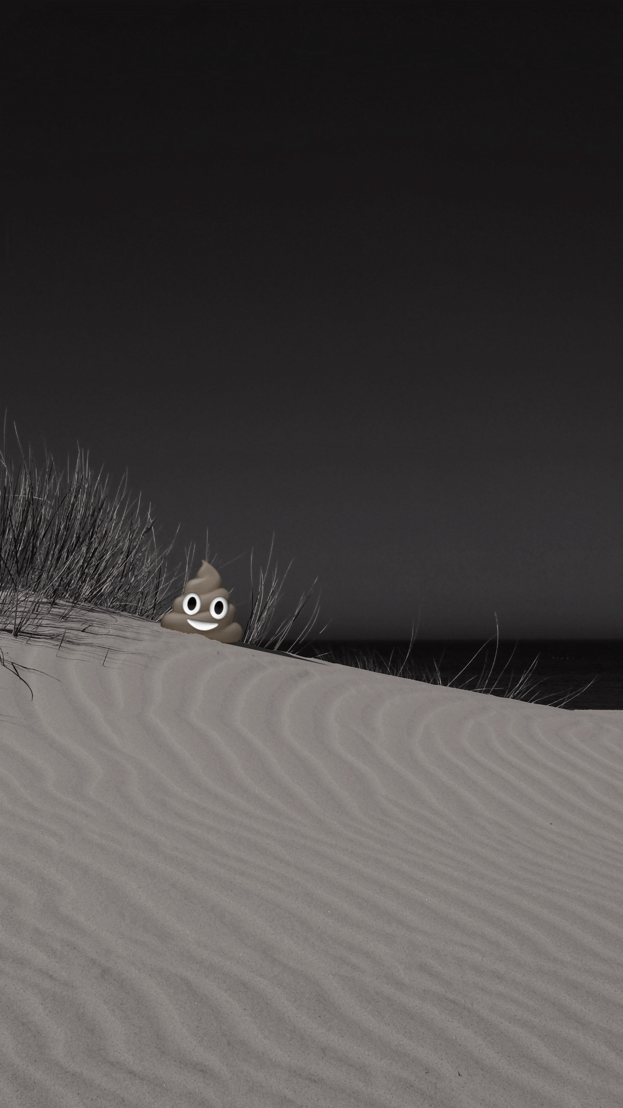 Poo.Design gallery image