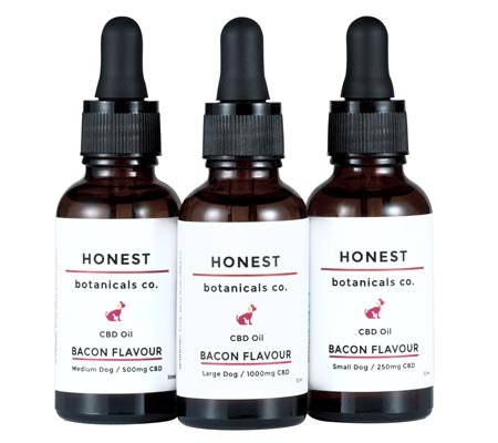 Bacon Flavored CBD Oil for Dogs
